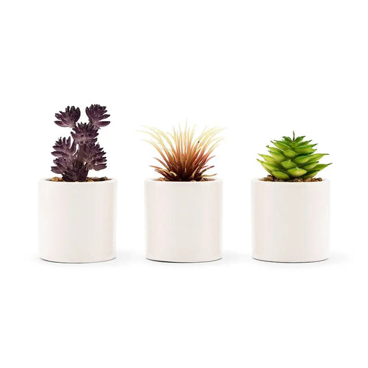 Small Faux Succulent Plants (Set of 6) - VanAccessories.com